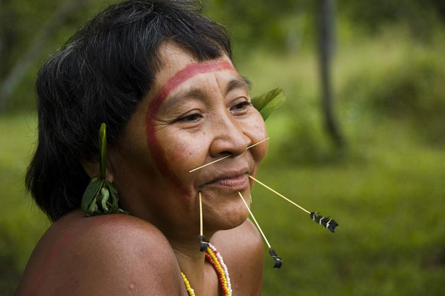  Famílias Yanomami irão receber cerca de 84 mil cestas de alimentos 