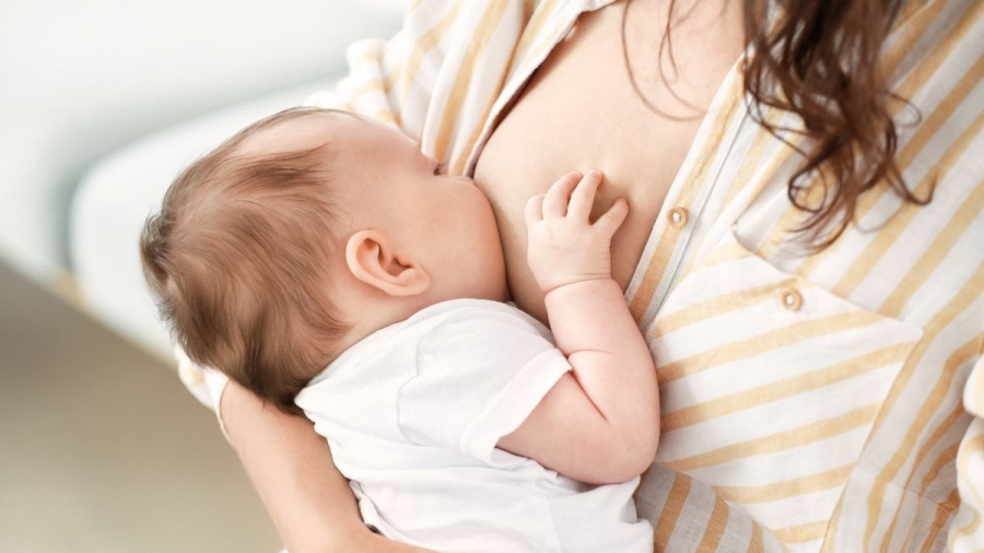 Doações de leite humano beneficiaram mais de 219 mil bebês em todo o Brasil