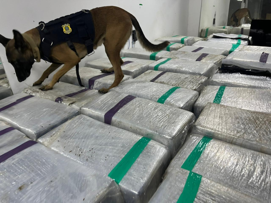 PRF apreende cerca de três toneladas de maconha em caminhão frigorífico no Rio de Janeiro